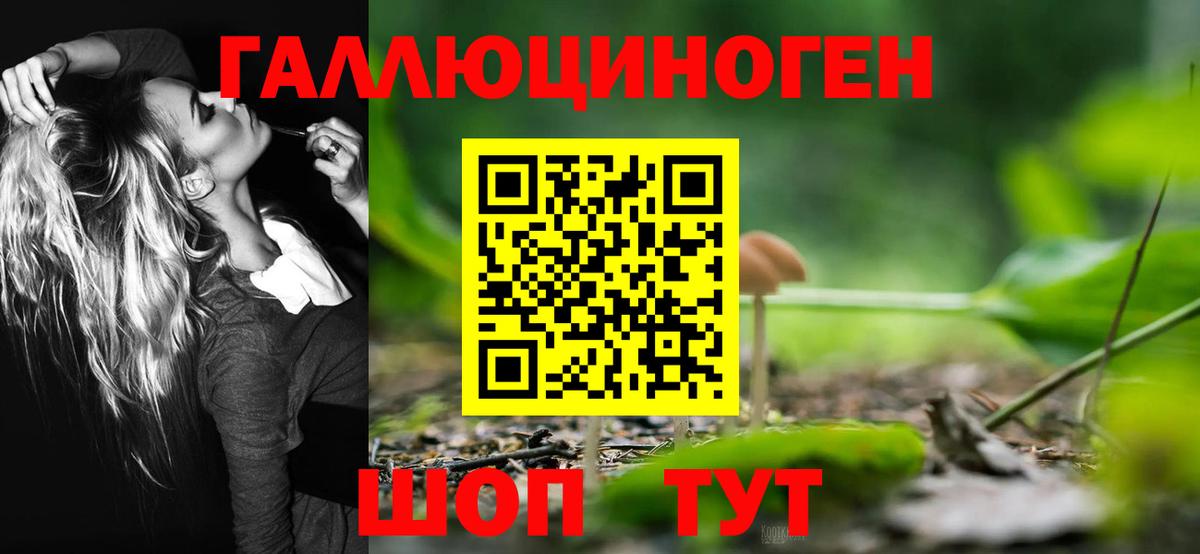 Псилоцибиновые грибы ЛСД  Вход с VPN  Псилоцибиновые грибы ЛСД  Киреевск 